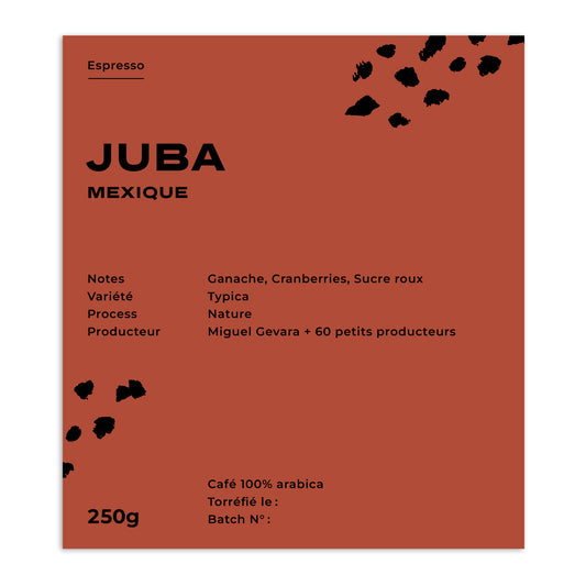 JUBA - MEXIQUE