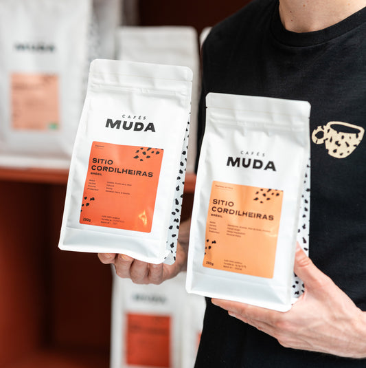 ABONNEMENT DÉCOUVERTE - MENSUEL