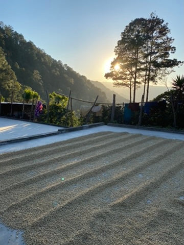 BELLA VISTA - GUATEMALA