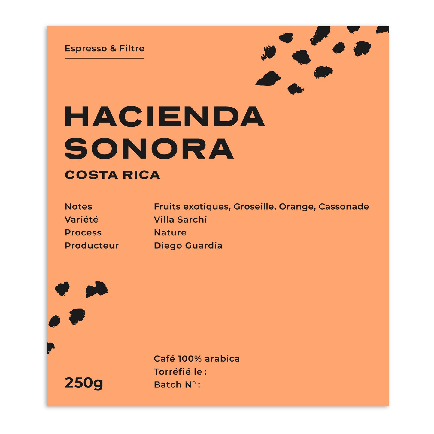 HACIENDA SONORA - COSTA RICA