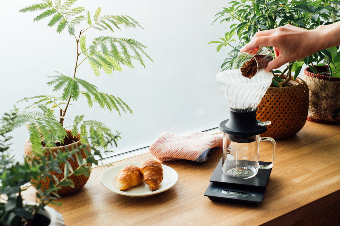 HARIO - DRIPPER IMMERSION SWITCH - 1/4 tasses