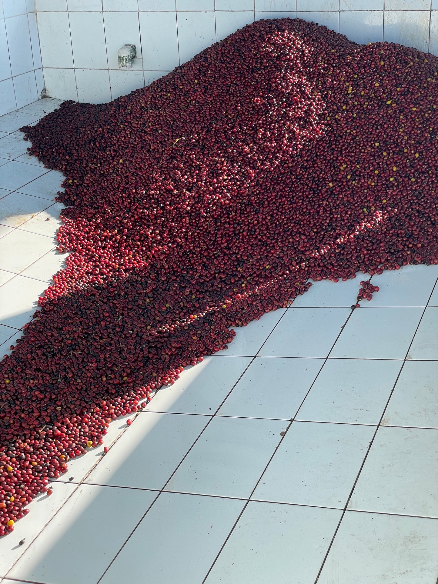 GESHA LAVE JULIO MELNDEZ