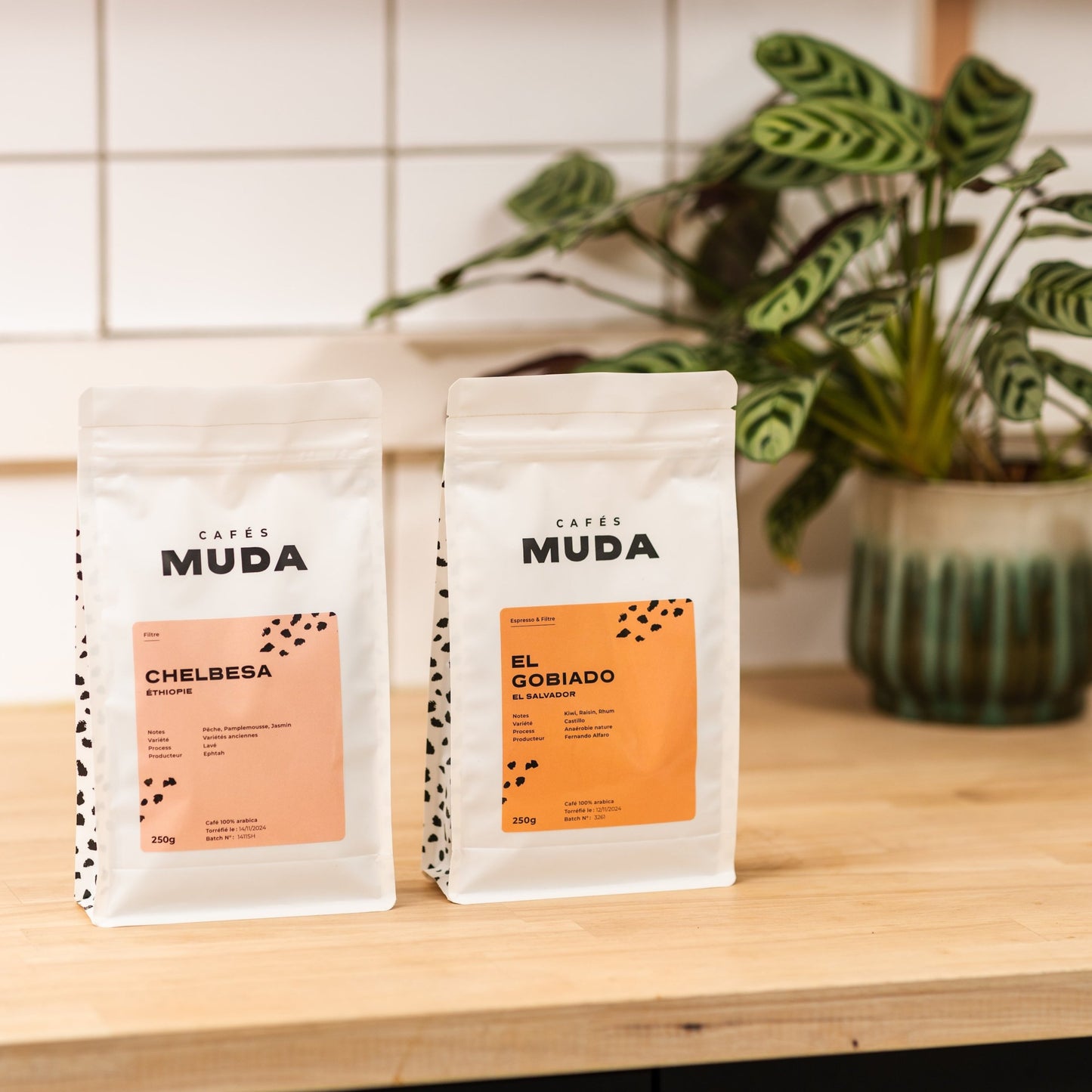 COFFRET FILTRE DÉCOUVERTE