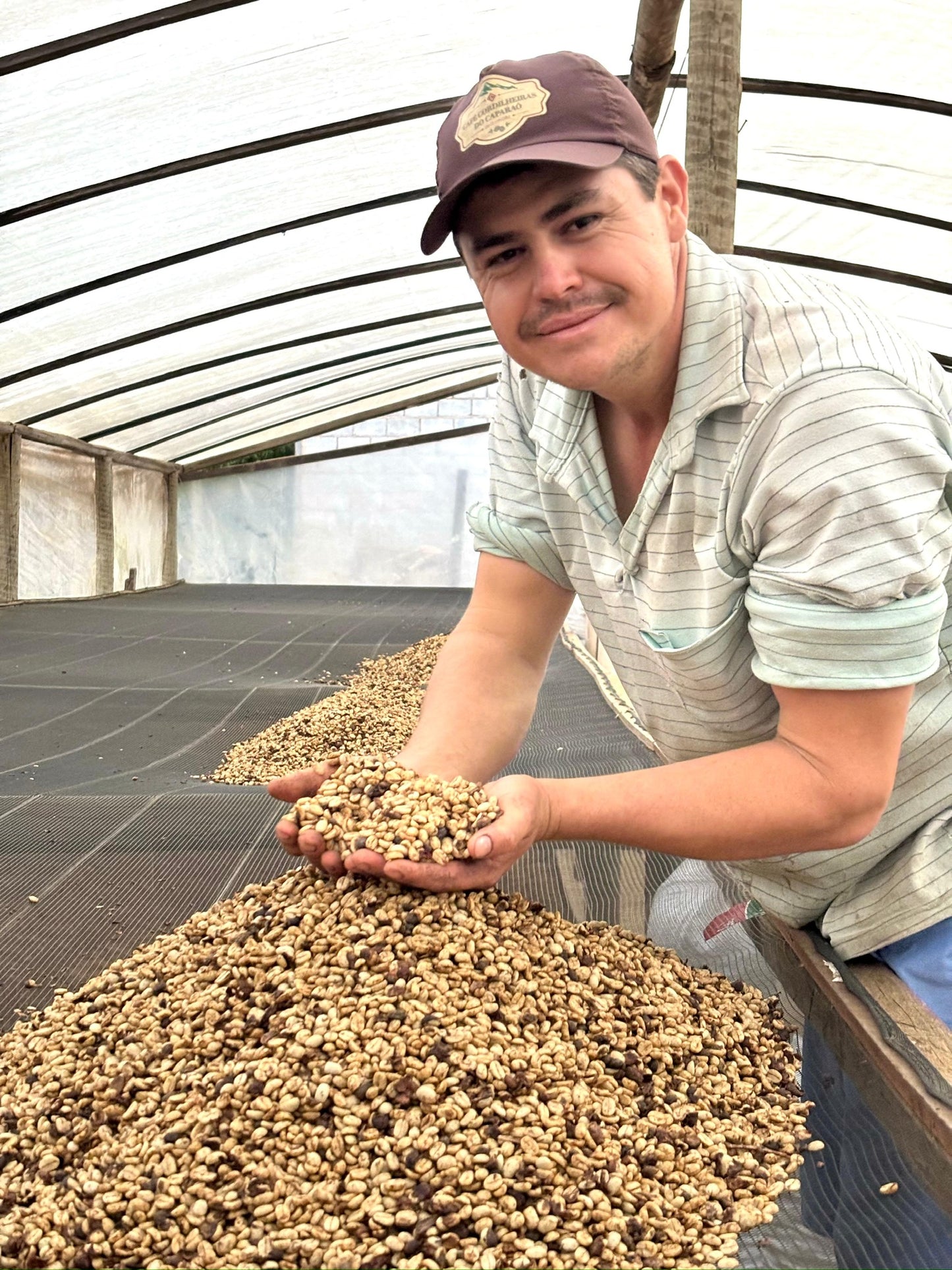 Ferme de café Sitio Cordilheiras du Brésil - Producteur