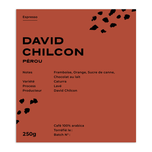 DAVID CHILCON - PÉROU
