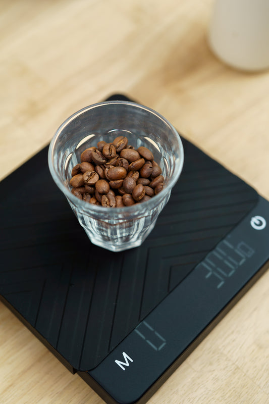 BALANCE SCALE R-30