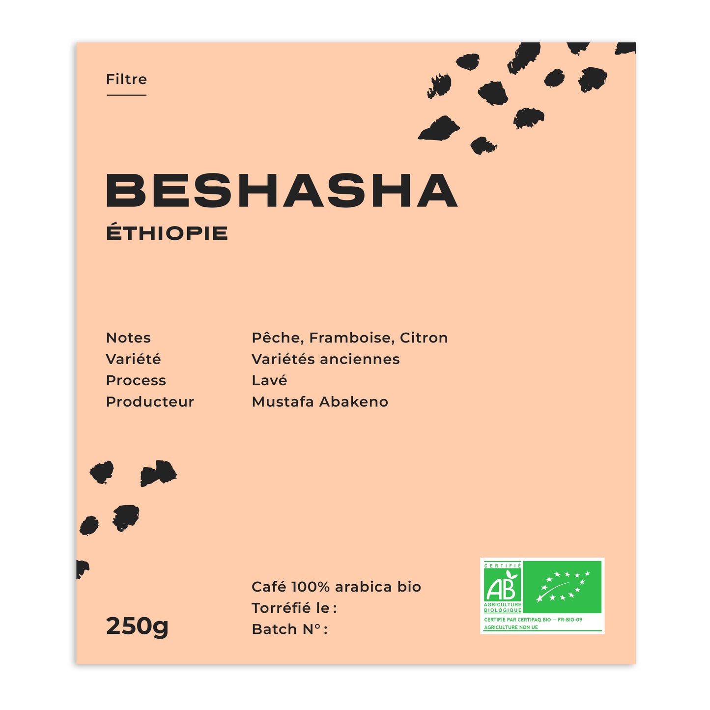 BESHASHA - BIO - ÉTHIOPIE
