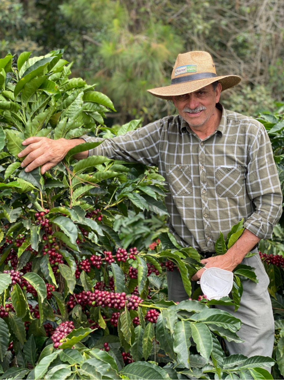 LAS MORITAS - PACAMARA - GUATEMALA