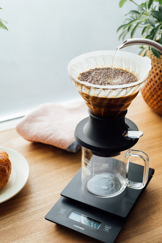 HARIO - DRIPPER IMMERSION SWITCH - 1/4 tasses