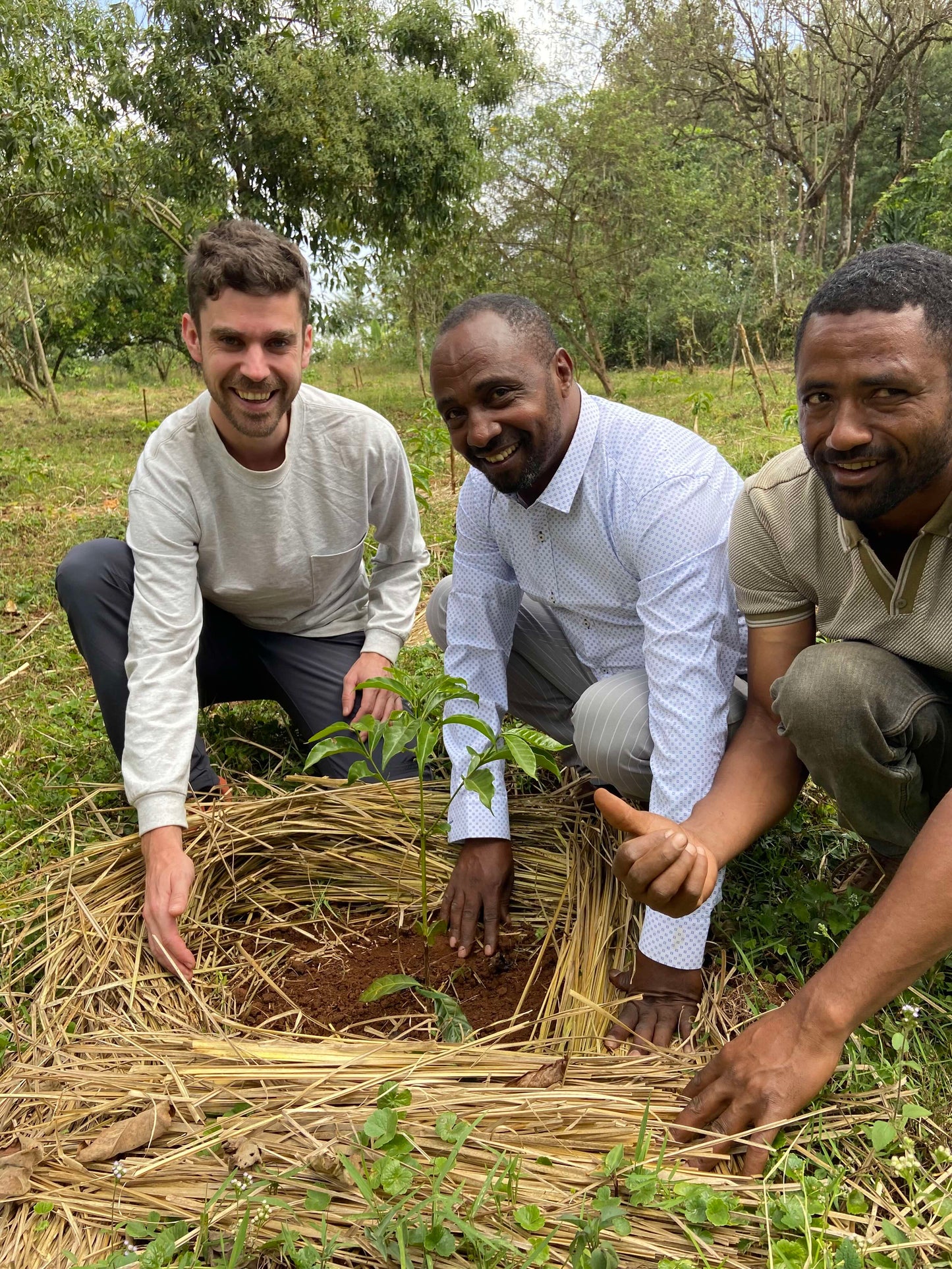 BESHASHA - BIO - ÉTHIOPIE