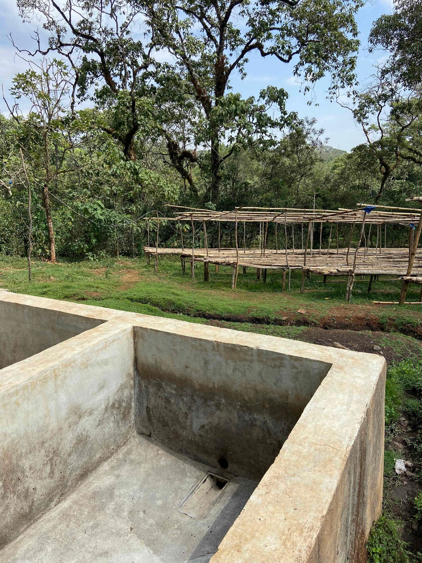 BESHASHA - BIO - ÉTHIOPIE