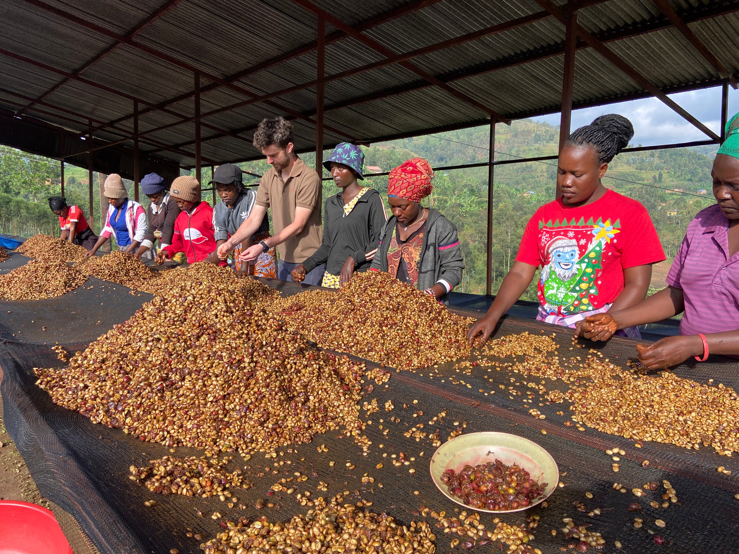 Ferme de café Rwanda