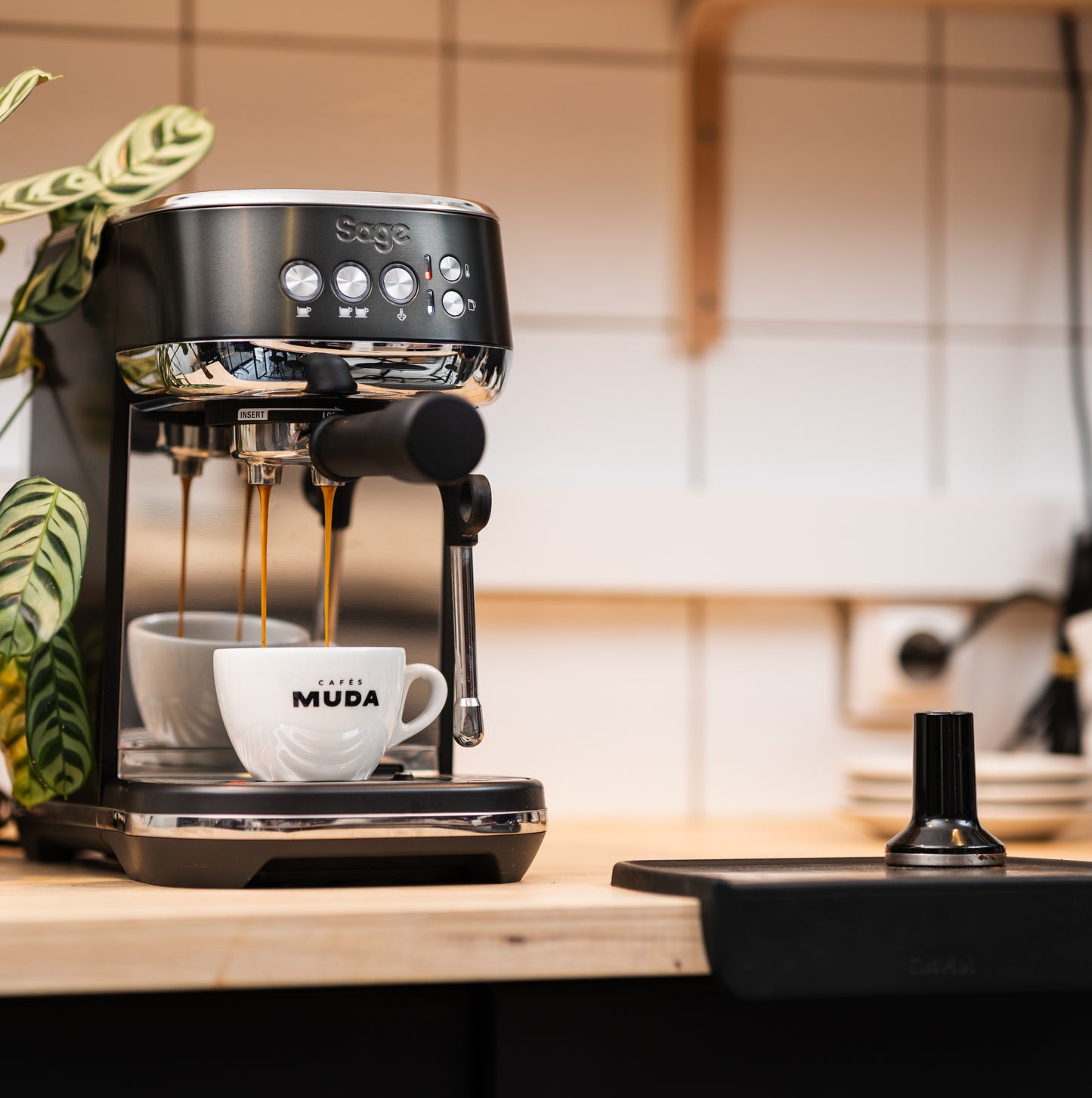 Préparation d'un double espresso avec la machine à espresso Sage Bambino Plus