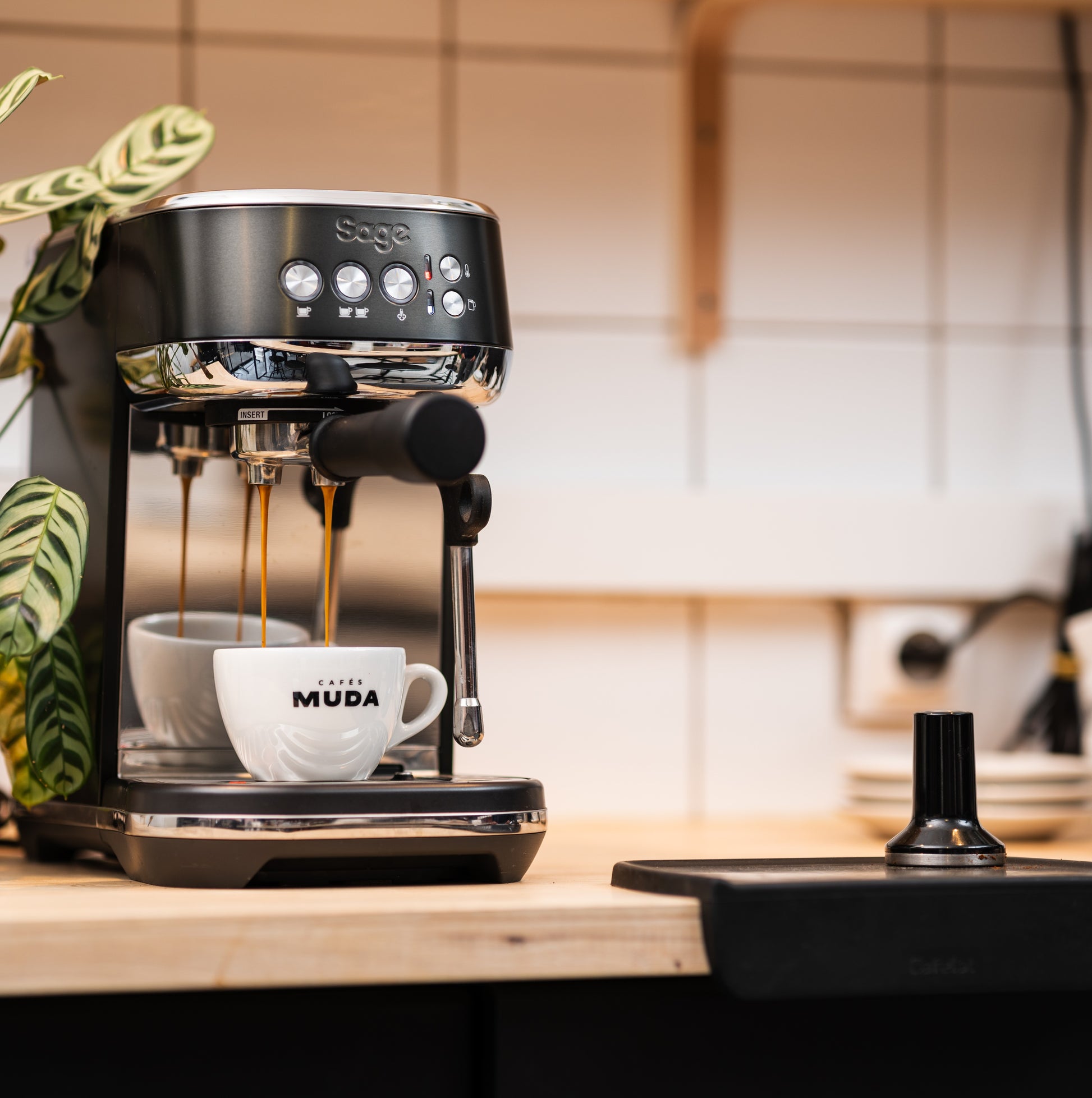 Préparation d'un double espresso avec la machine à espresso Sage Bambino Plus