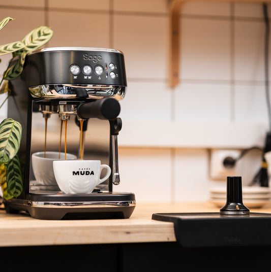 Préparation d'un double espresso avec la machine à espresso Sage Bambino Plus
