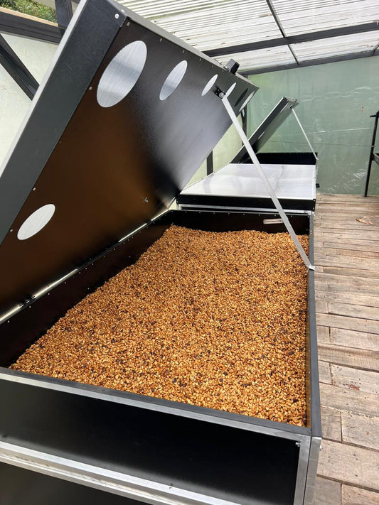 LOS NOGALES - MUDA x BOO COLLAB - LOW CAF CATURRA