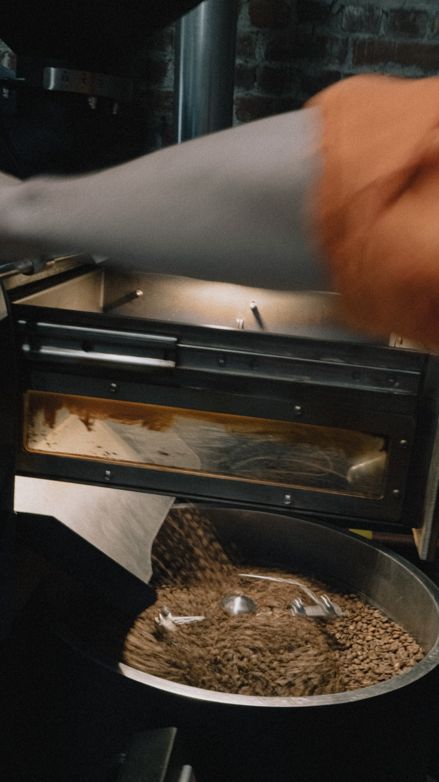 LOS NOGALES - MUDA x BOO COLLAB - LOW CAF CATURRA